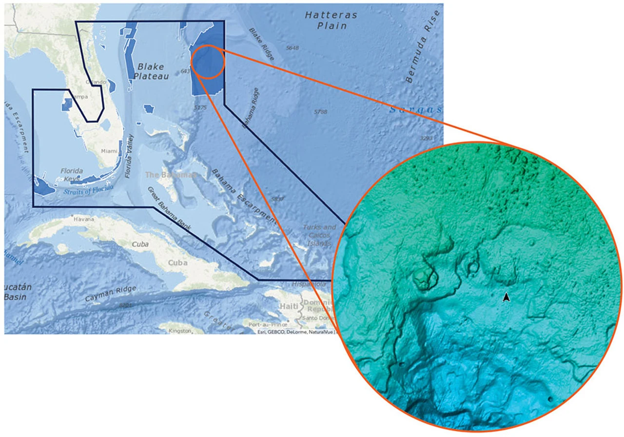 C-MAP Reveal - Florida & The Bahamas 1 C-MAP Reveal - Florida & The Bahamas