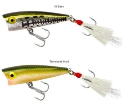 Rebel P50 Teeny Pop-R 2in -Fishing Discount Store rebel p50 teeny pop r 2in 18331.1651013318