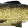Savage Gear Pulse Tail Baitfish LB Swimbait - Black And Gold