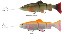 Best Seller -Fishing Discount Store savage gear pre rigged 3d line thru trout lures 89082.1650821678