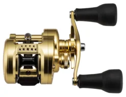 Shimano Calcutta Conquest MD Baitcasting Reels -Fishing Discount Store shimano calcutta conquest md baitcasting reels 25316.1674255441