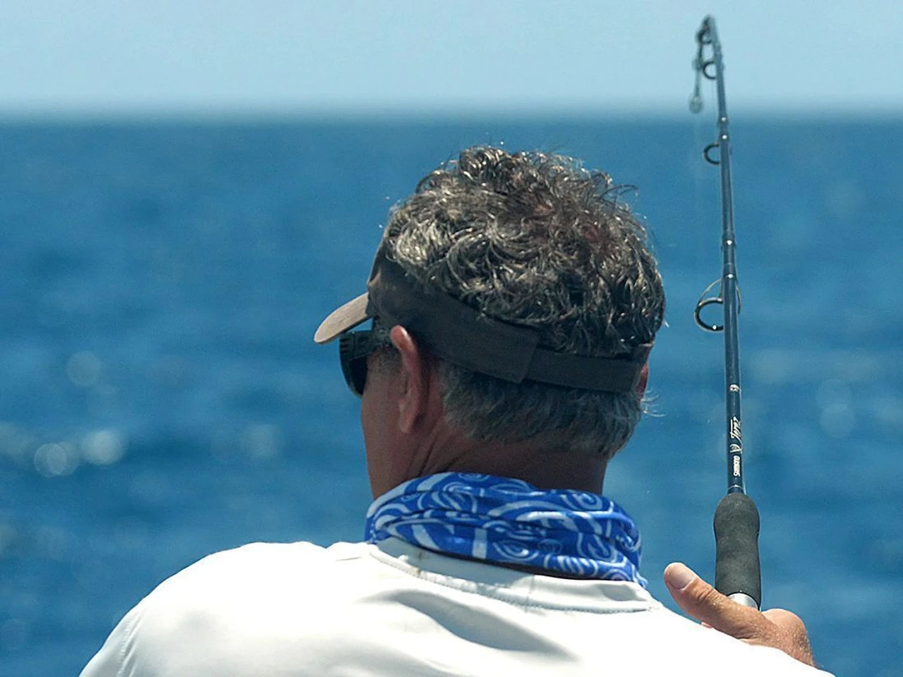 Shimano Terez Conventional Rods 5 Shimano Terez Conventional Rods - Image 5