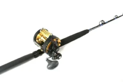 Shimano TLD30IIA Reel / TackleDirect TDSSUT601MHSB Custom Combo -Fishing Discount Store shimano tld30iia reel tackledirect tdssut601mhsb custom rod conventional combo 45068.1651006932