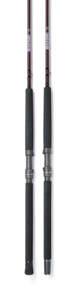 St. Croix Mojo Salt Rods