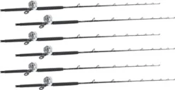 Shimano Talica TAC20BFC / TackleDirect Platinum Hook White Marlin Package W/ 6 Combos